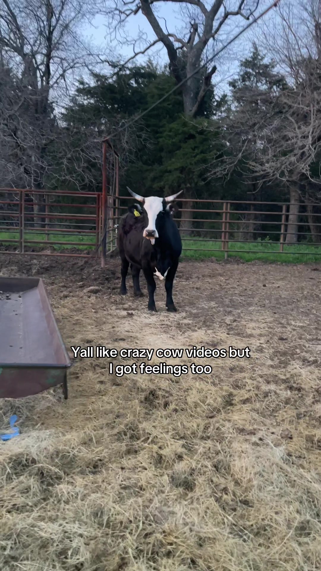 @The Farm Guy