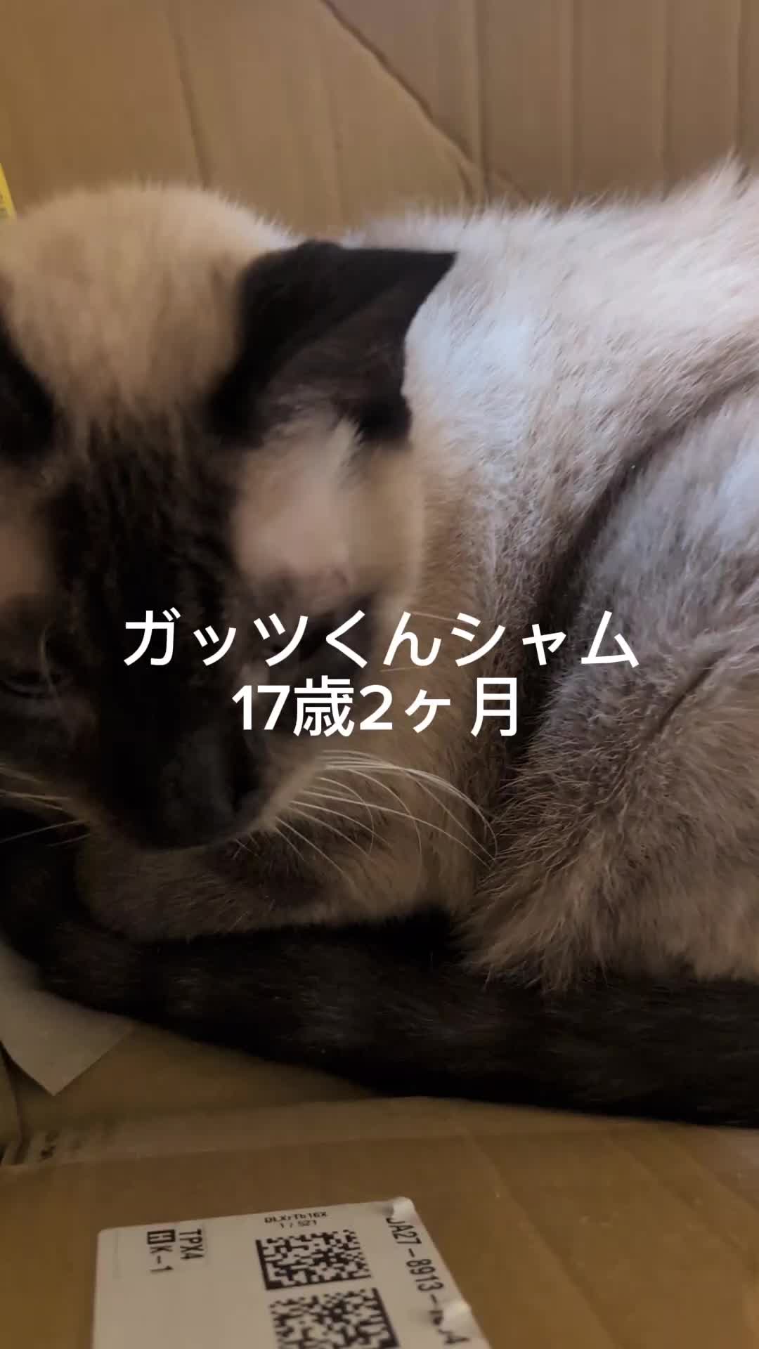 @睡眠プロデュース