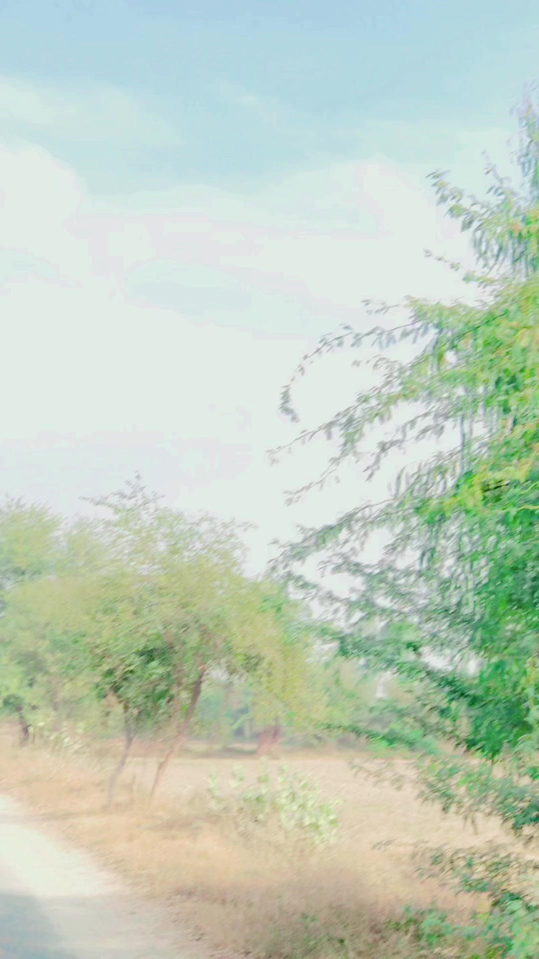 @𝐒𝐇𝐀𝐍𝐈♕🇧🇭