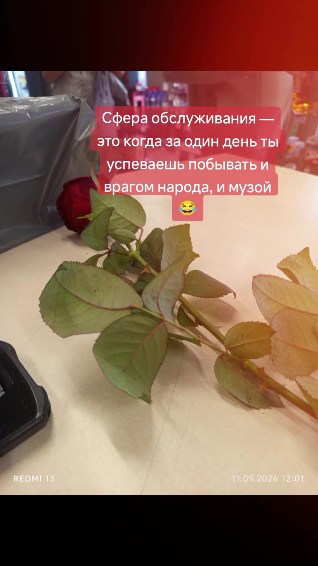 @Графиня де Россохатская