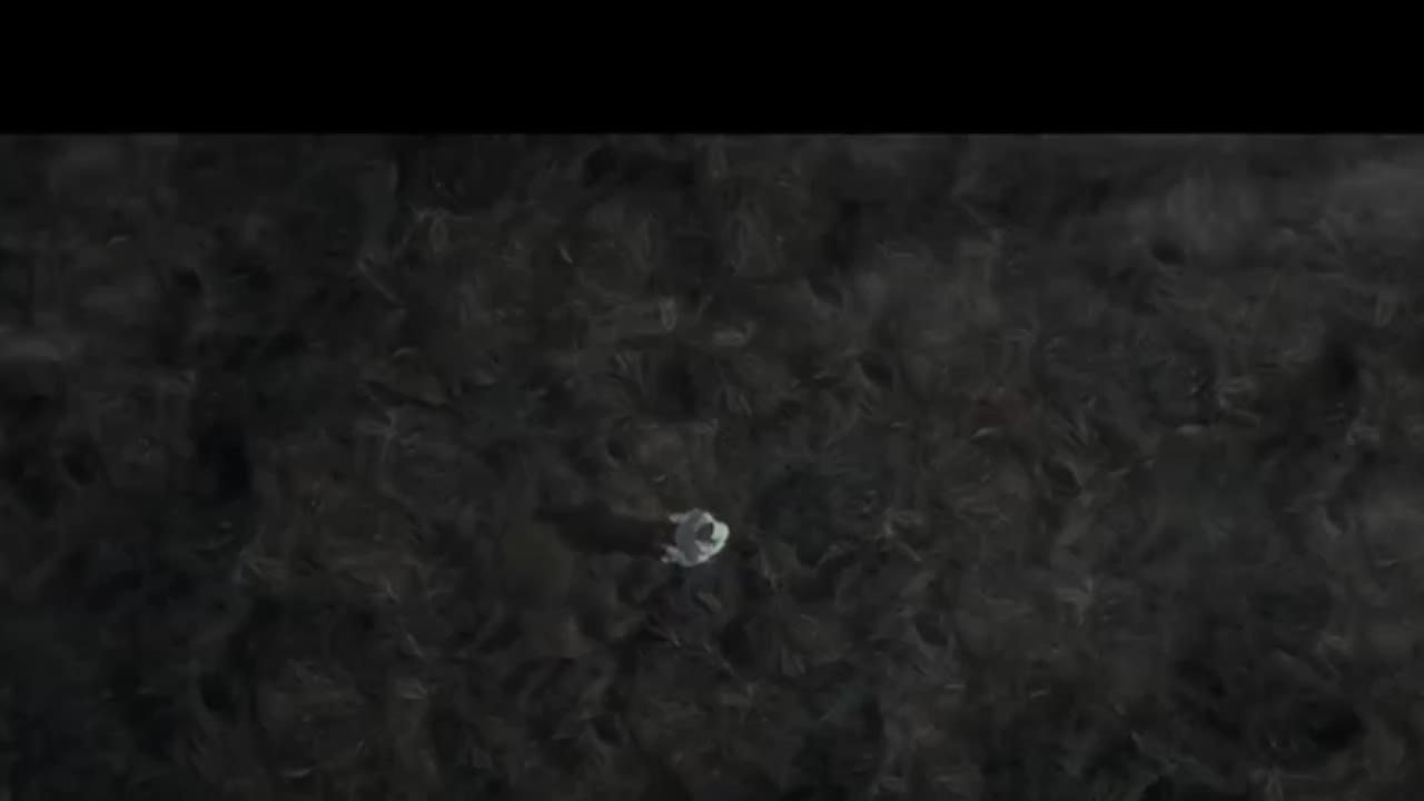 @tiredmakesrealedits
