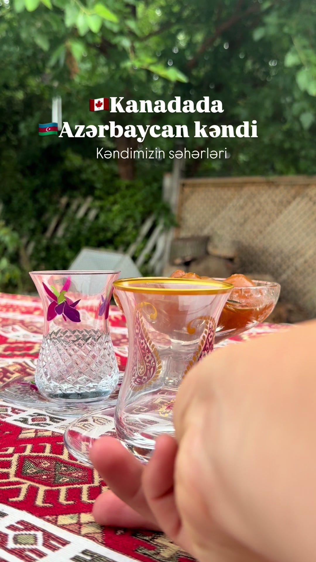 @Rolan Aysel 🇨🇦🇦🇿
