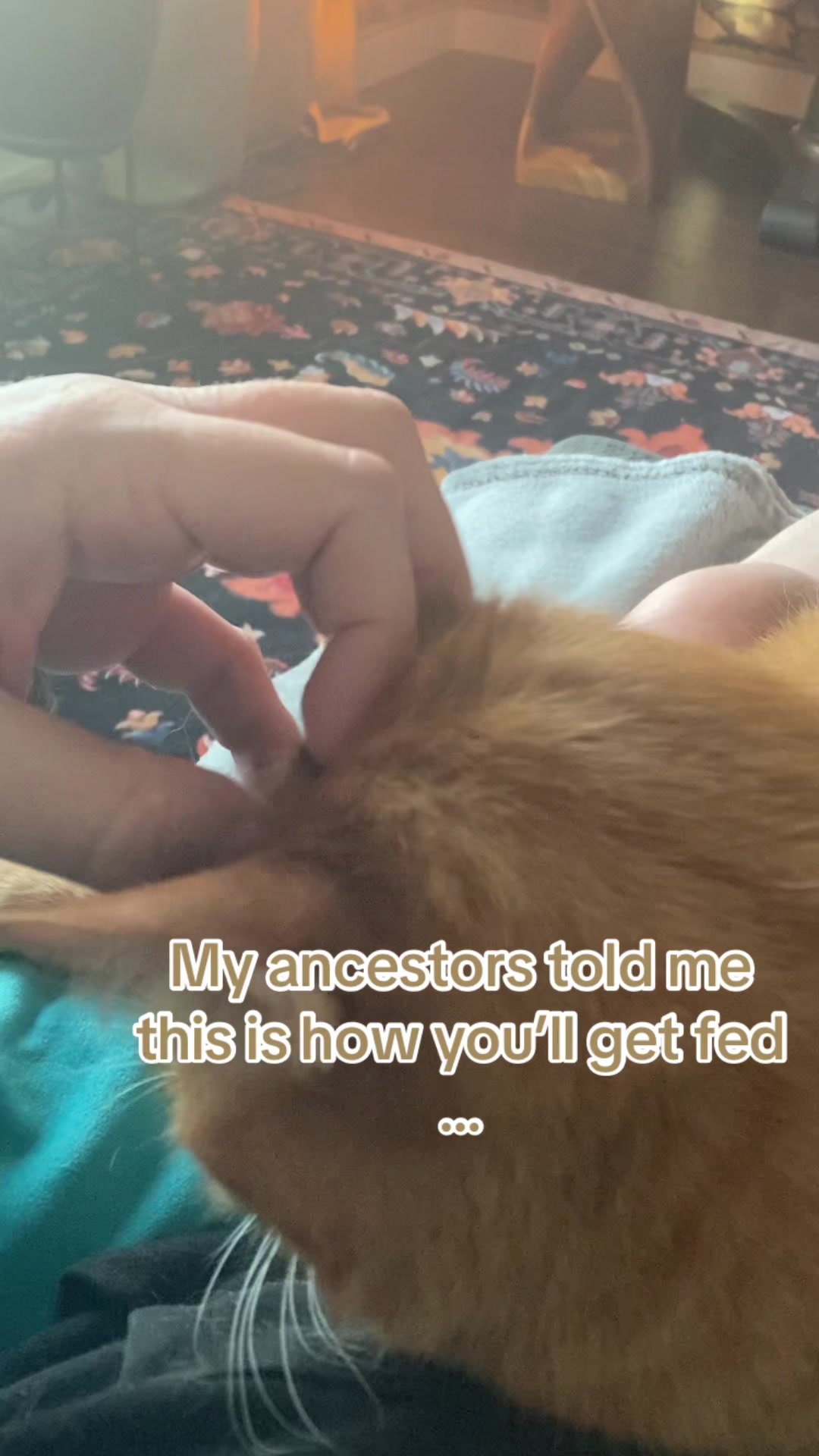 @serendipitous