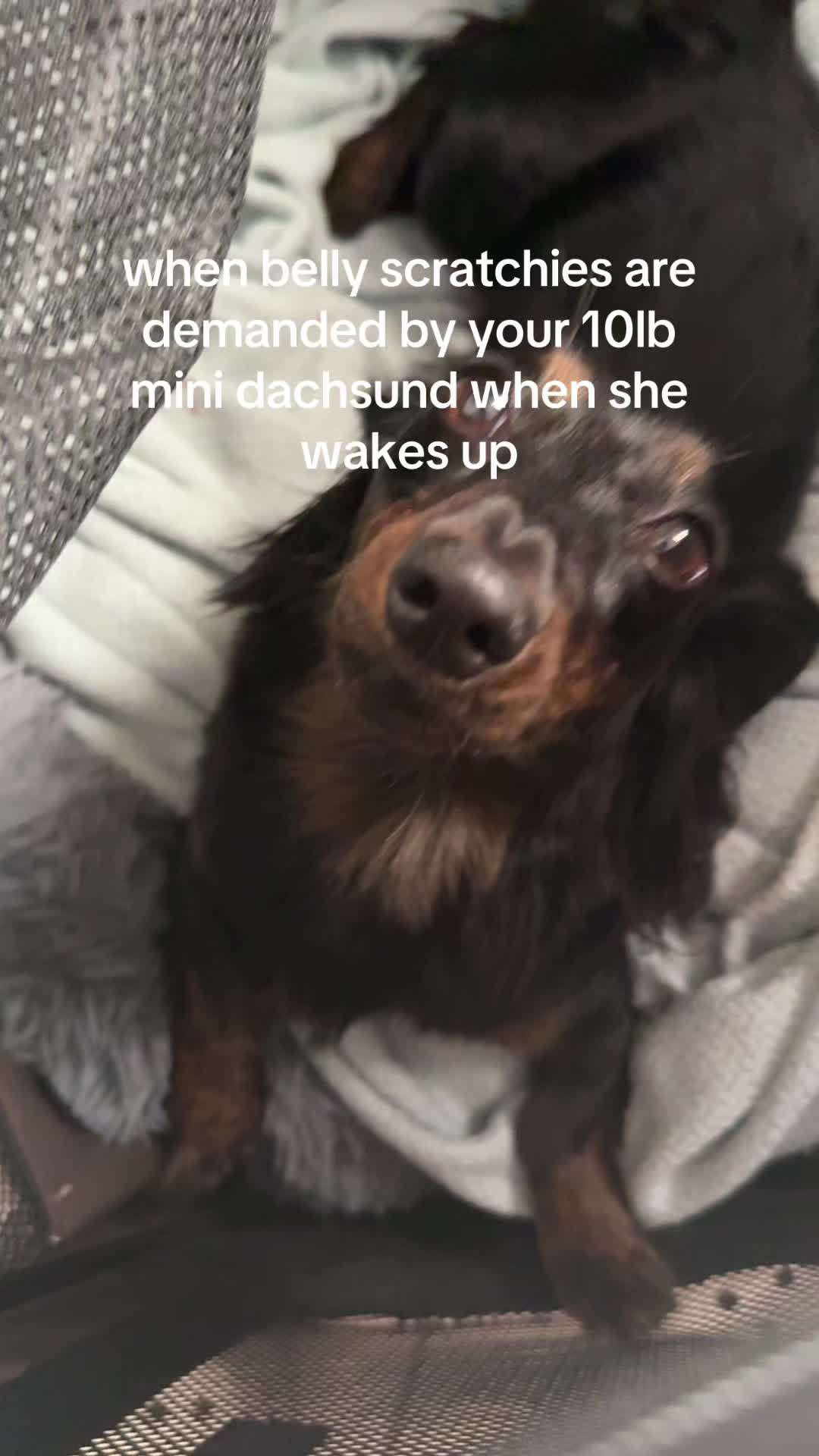 @walkwithceline