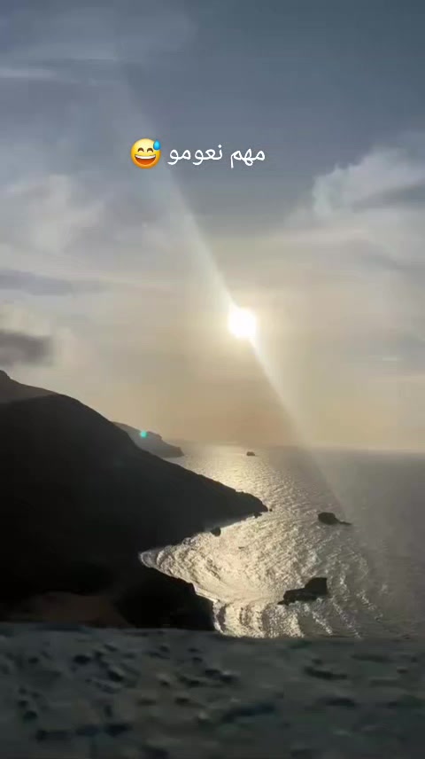 @Lina🐬13