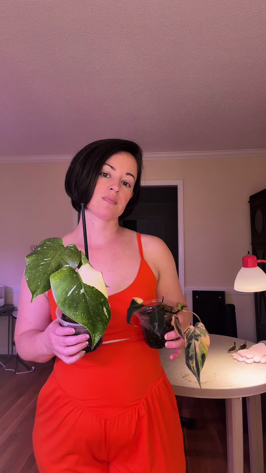 @HannahsManeAttraction