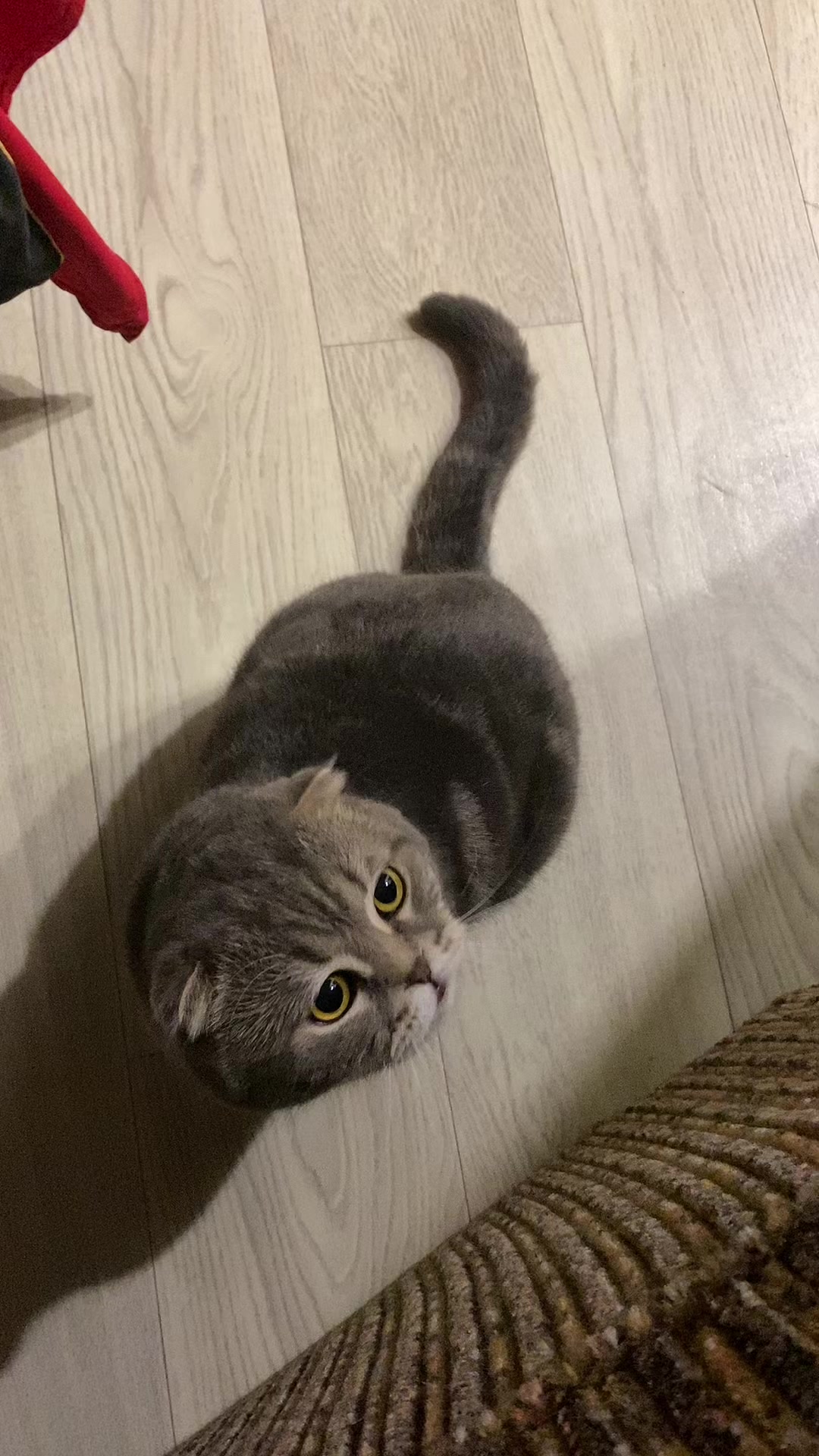 @Елена Николаева
