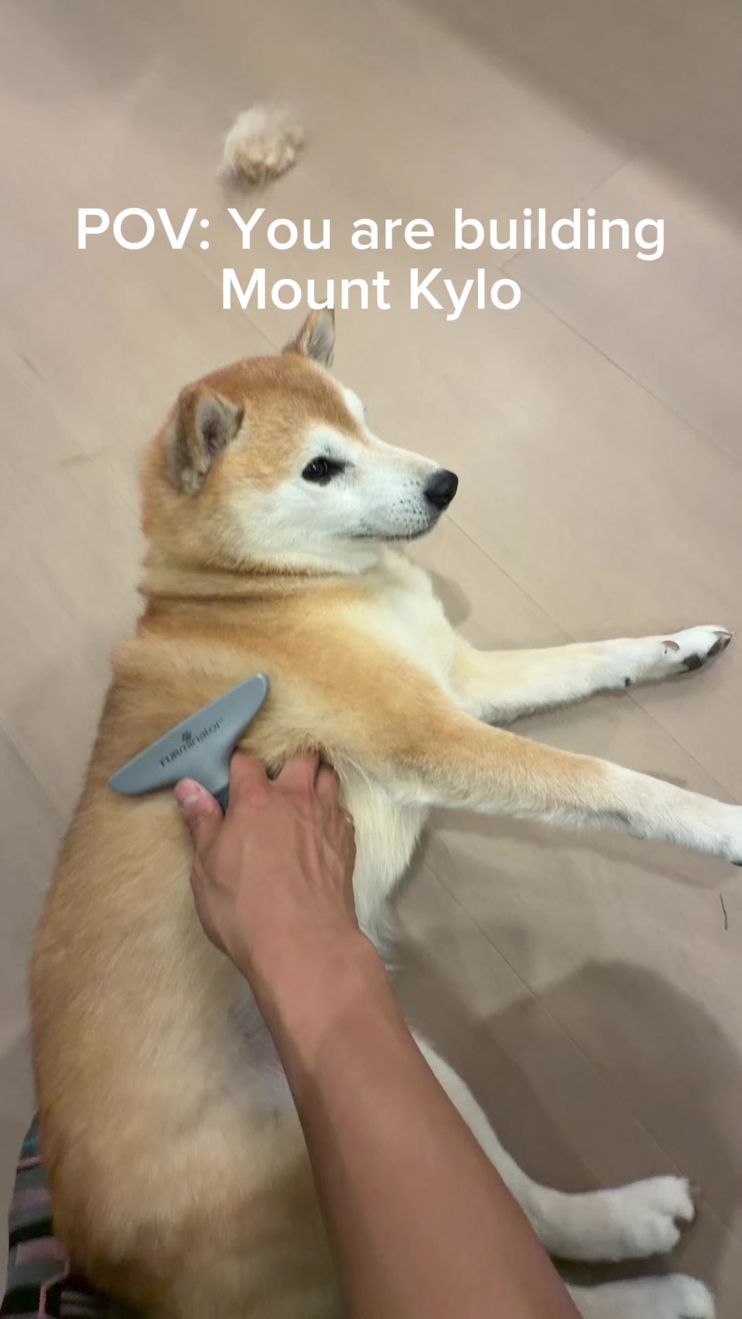 @Kylo