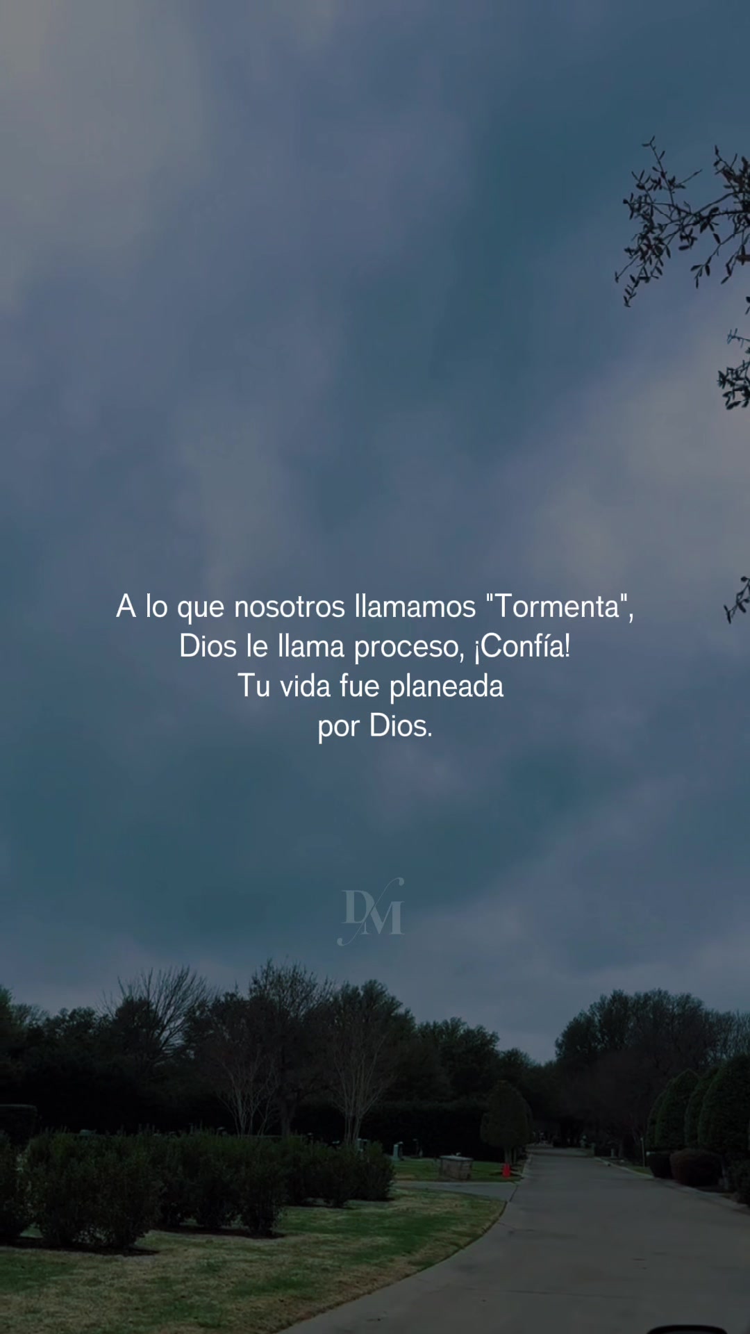 @Miguel de pa&uacute;l