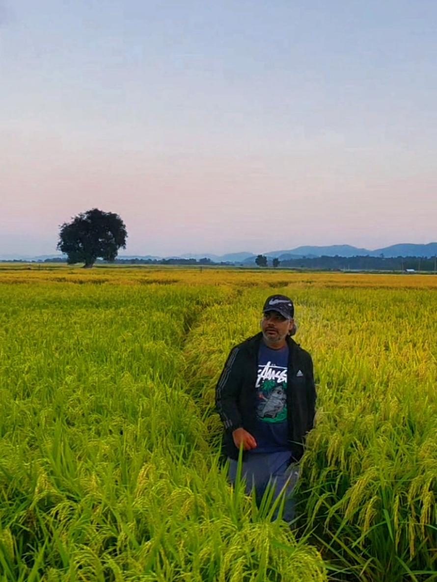 @Ramji Lamichhane