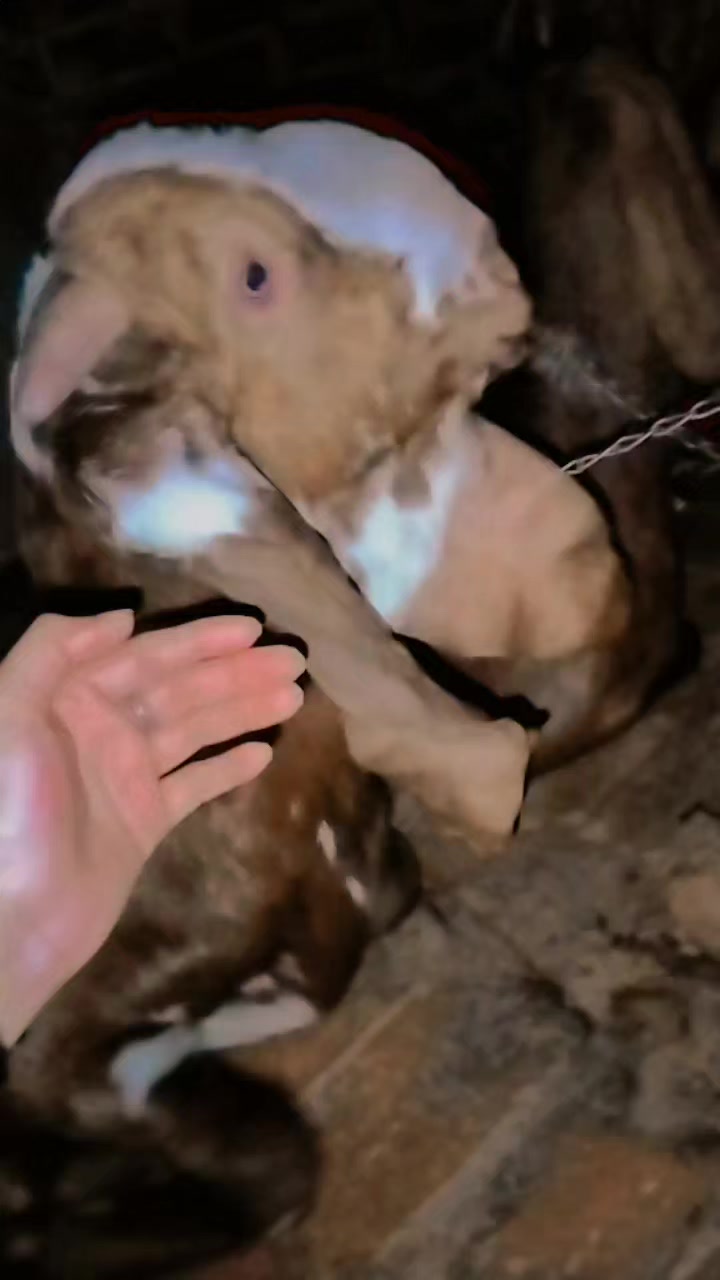 @Rimi guriya rani🤗