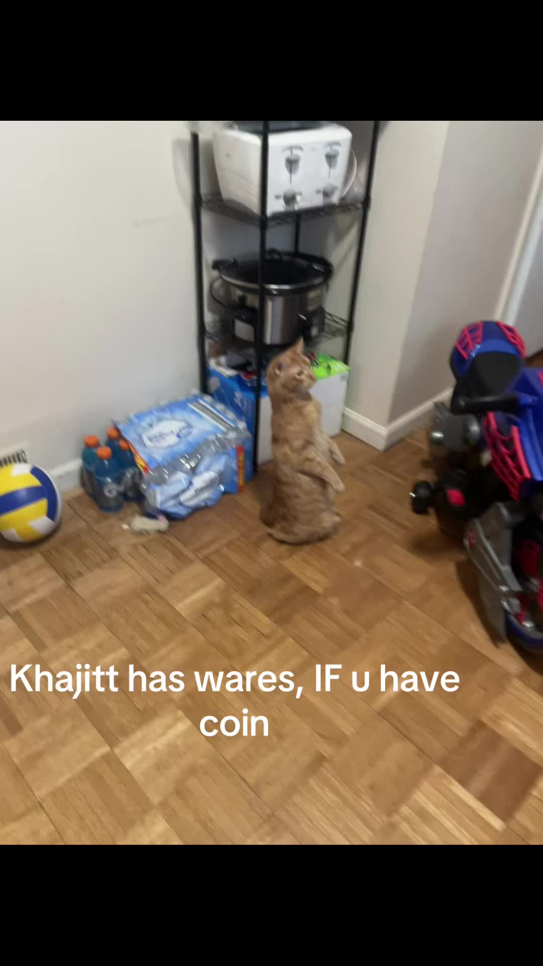 @kourtneyfrenz