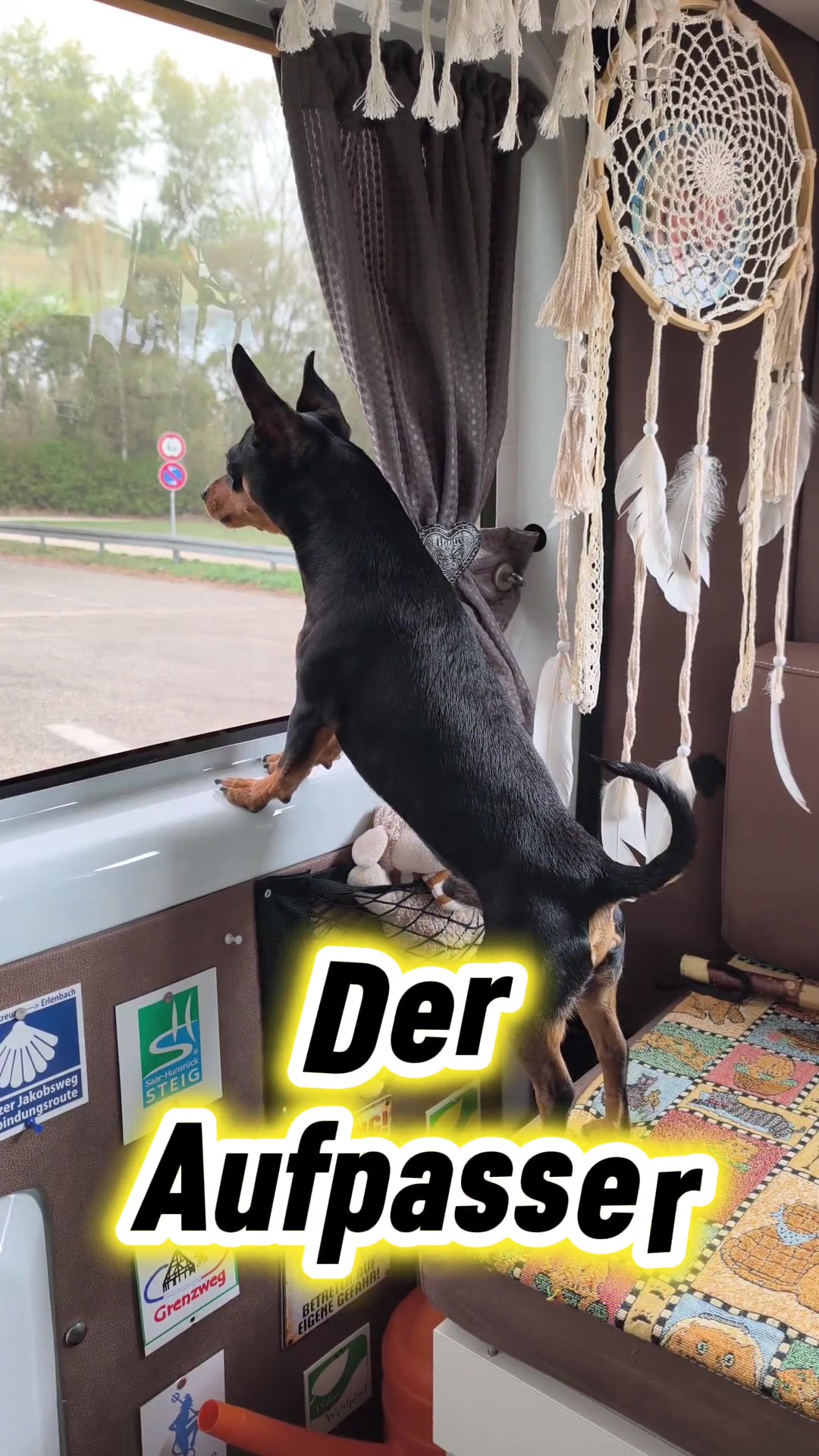 @ICH BIN'S