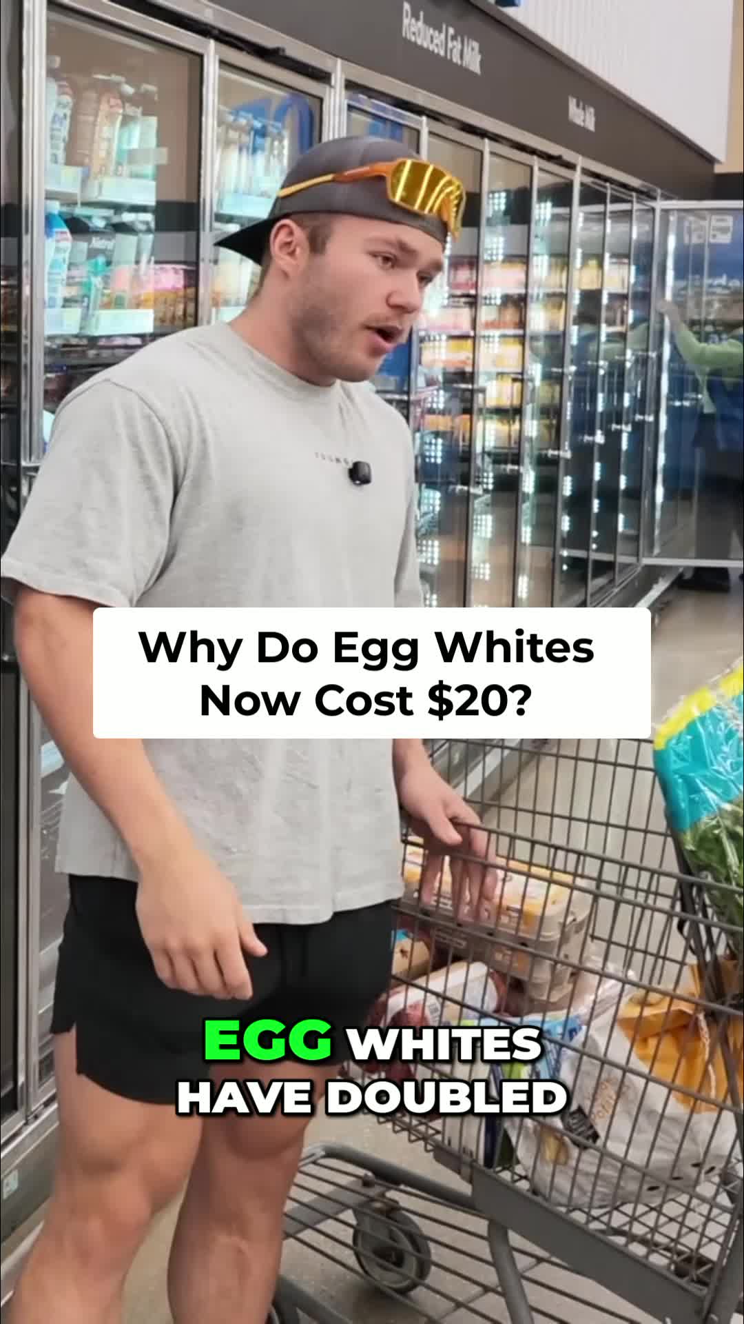 @Ryan 🕷️