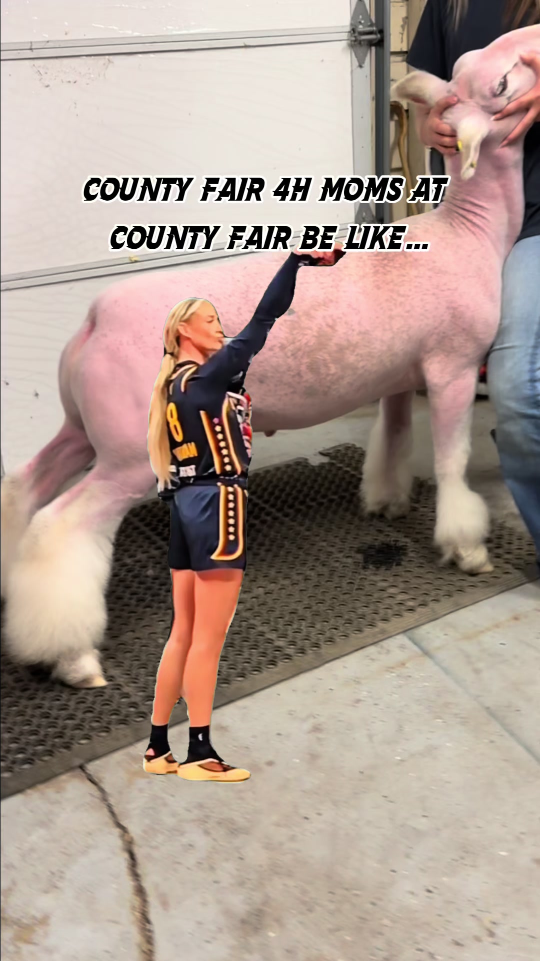 @ebatch_livestock_media