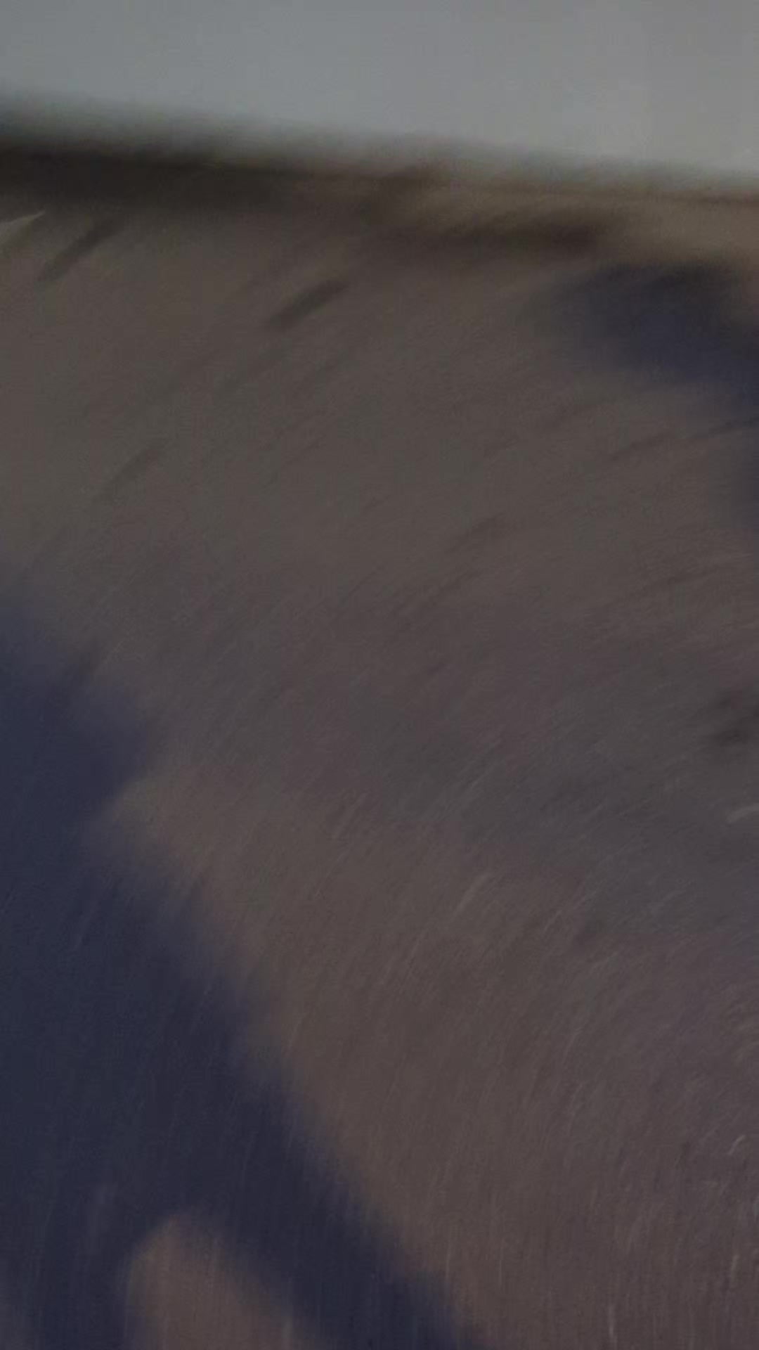 @weaxerq