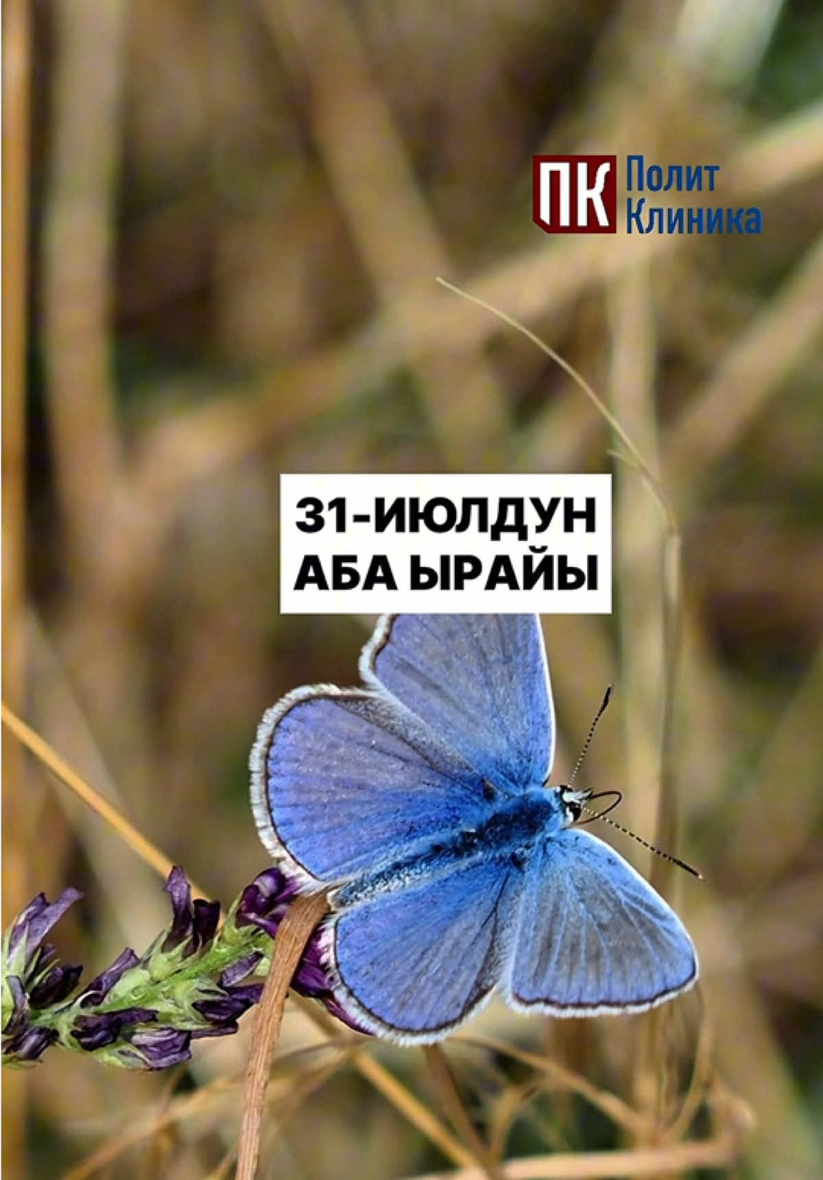 @politklinika