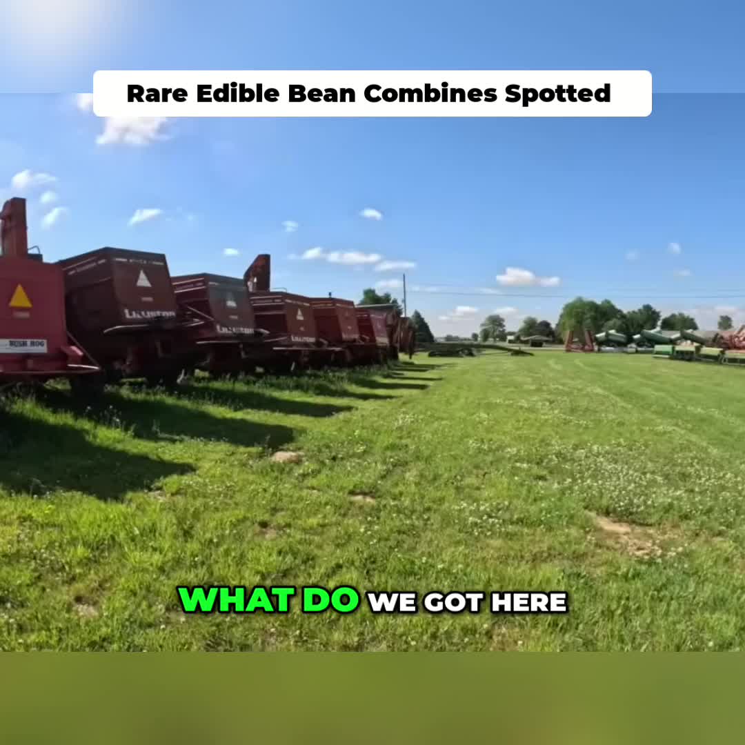@Kip Siegler Farming