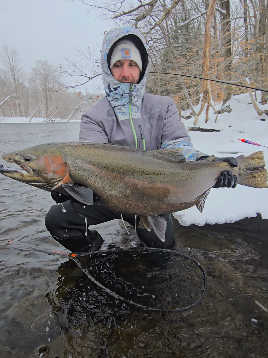 @the360angler