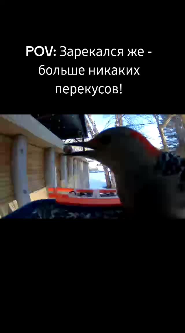 @Любопытно