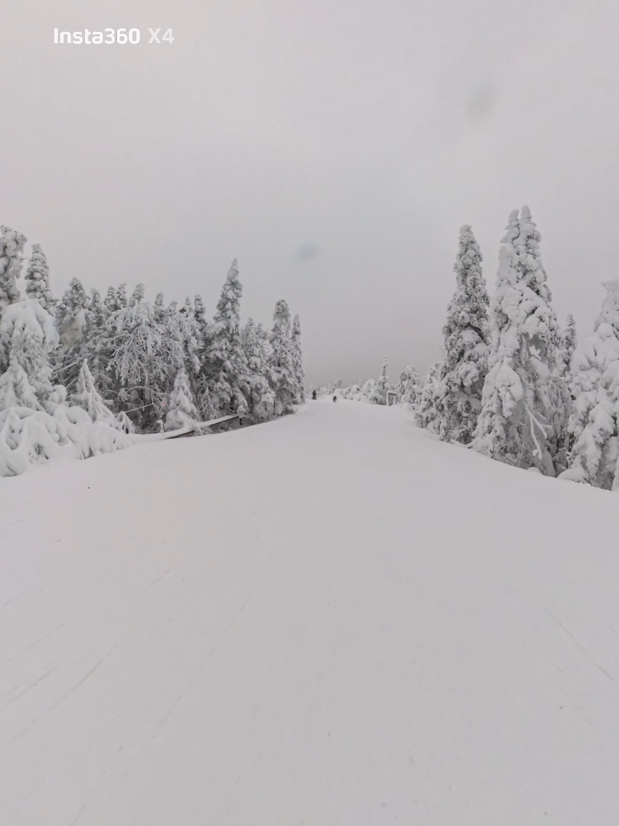@El Shino_Snowboarder
