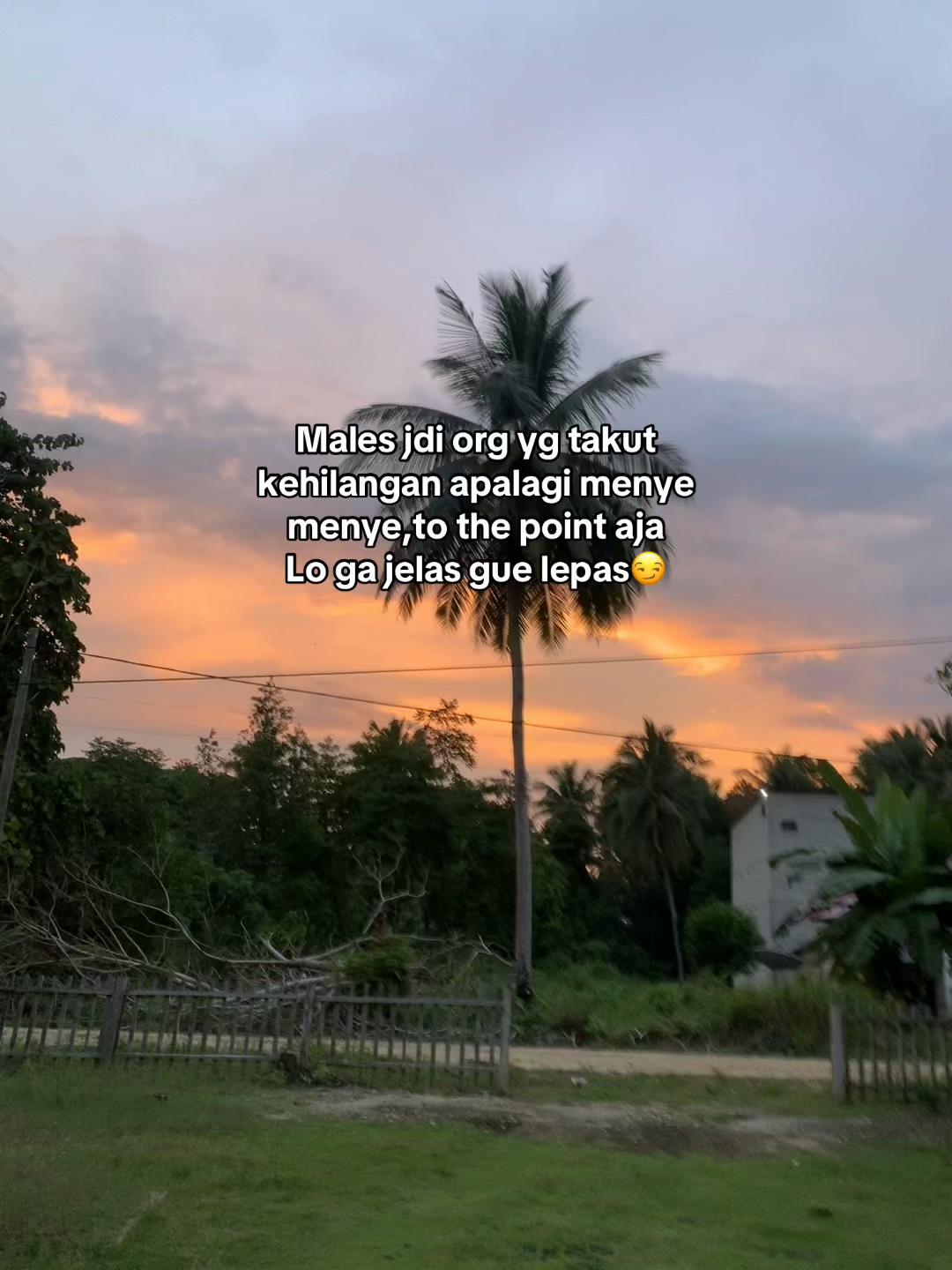 @Senja✨