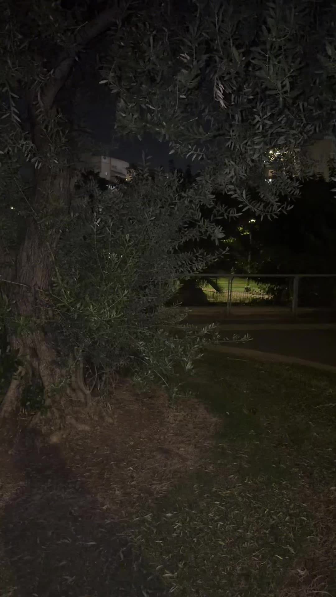 @אליעזר מלך הטיקטוק 🖤😈