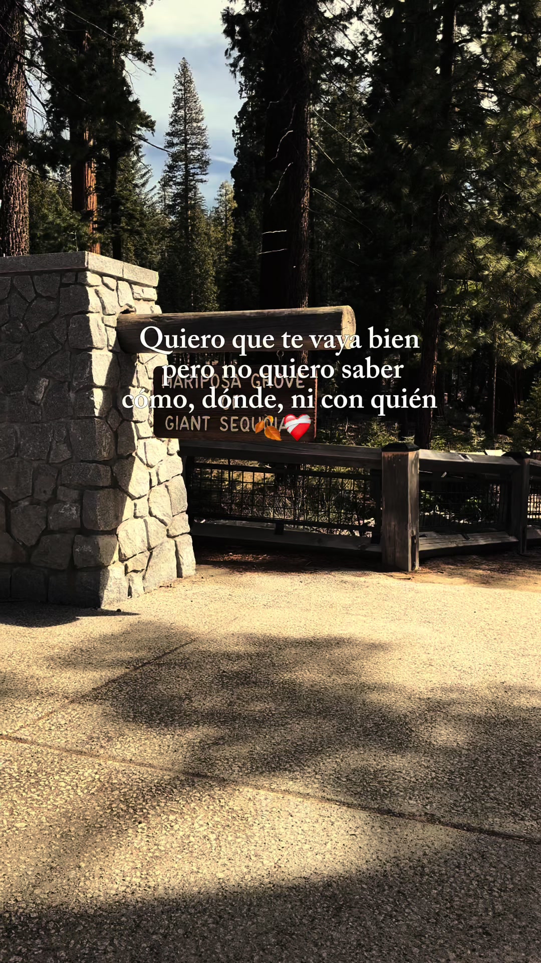 @Yis Diaz