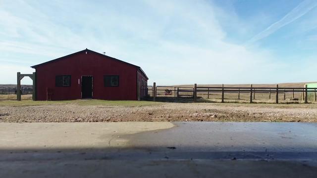 @Flint_❌ARRR Rescue Ranch