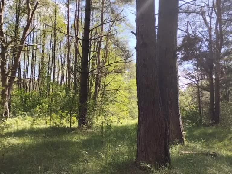 @ваш друг