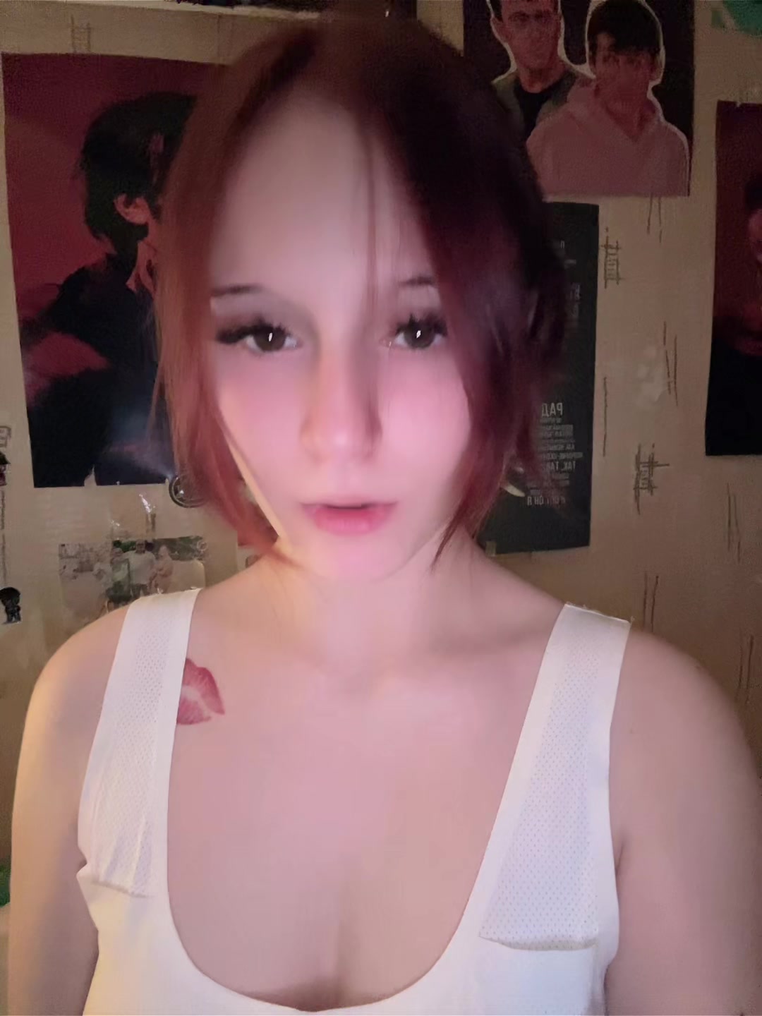 @кошка