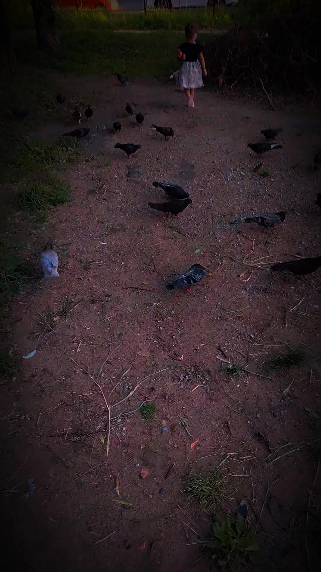 @алеся