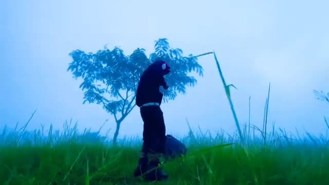 @Kingdom Leezeyn
