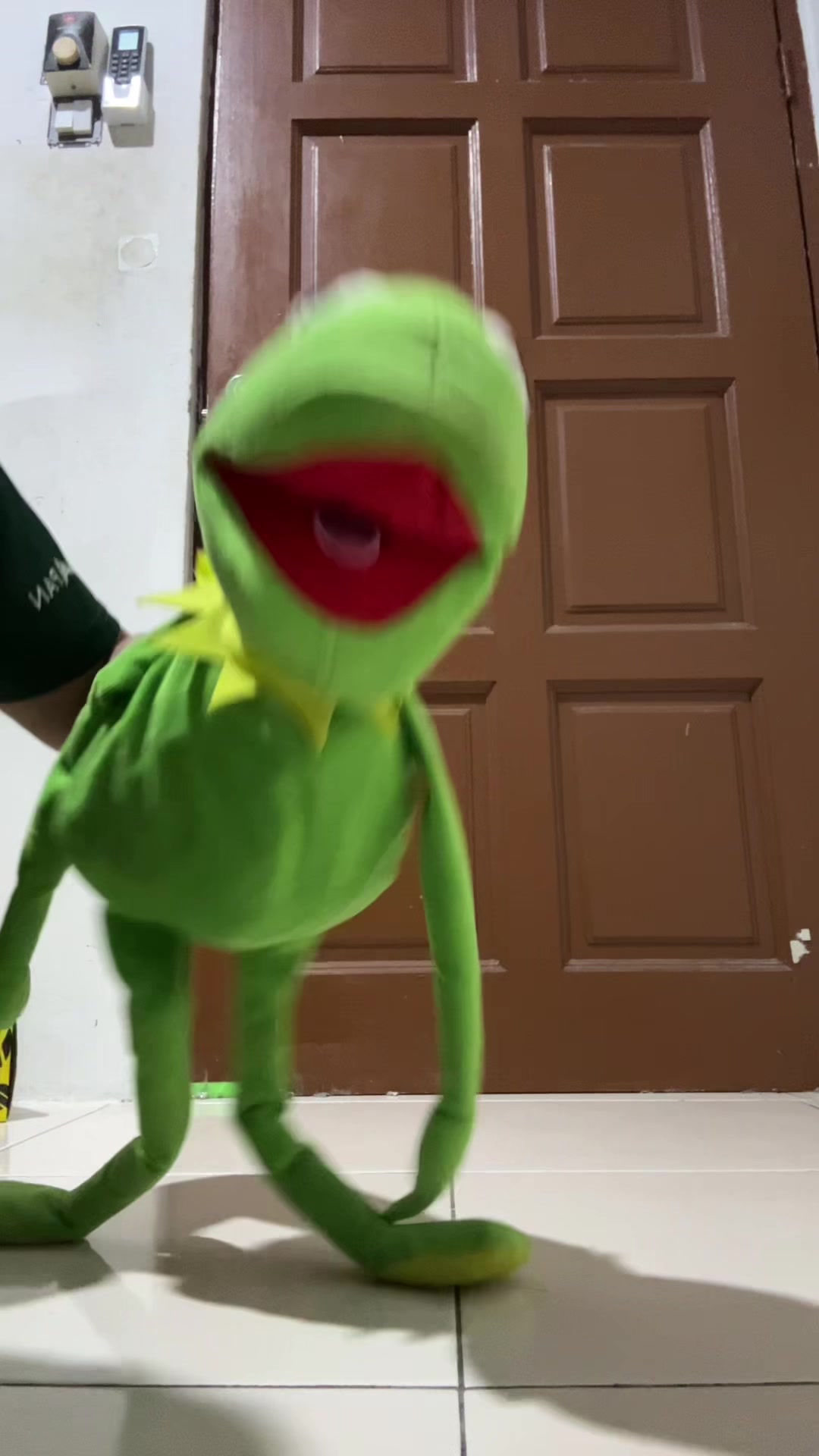 @Kermit Reacts / TIG 01T