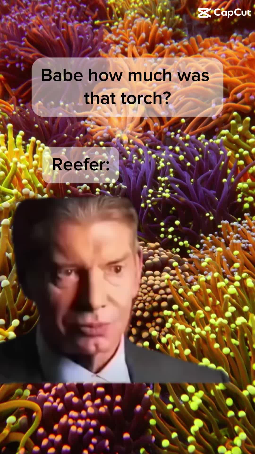 @ReefTok