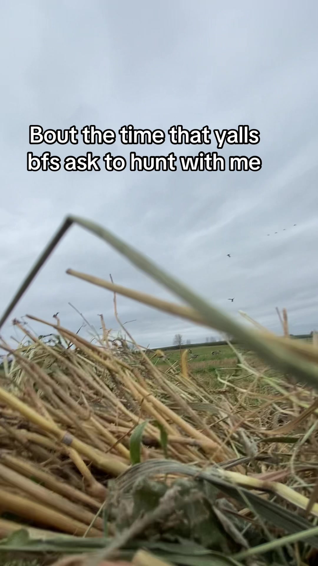 @Gage Bauer