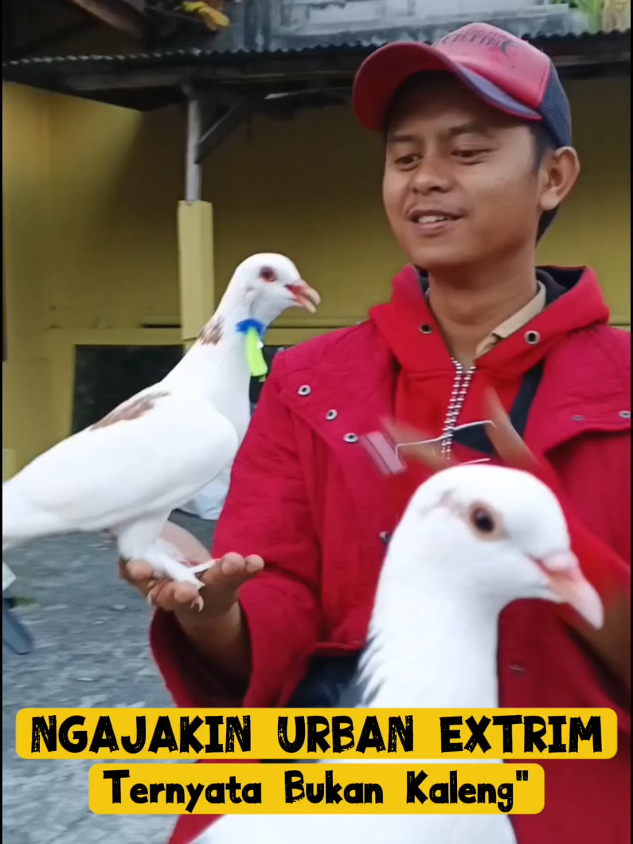 @BANG LEYON