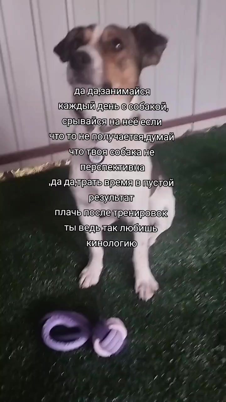 @𝘑𝘦𝘳𝘳𝘺🥏𝘢𝘪𝘳