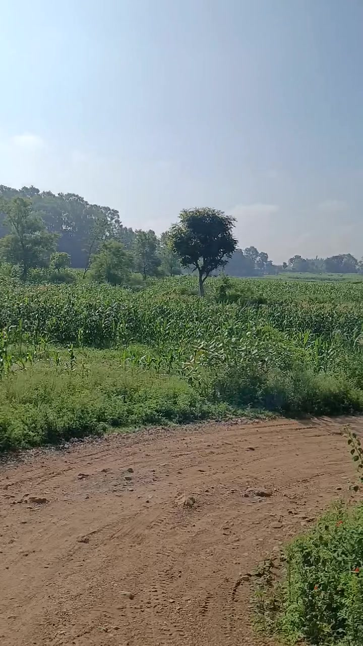 @Maयाँ 💖Shah 🕉️💎