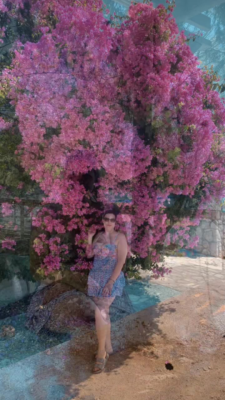 @Ay_sen
