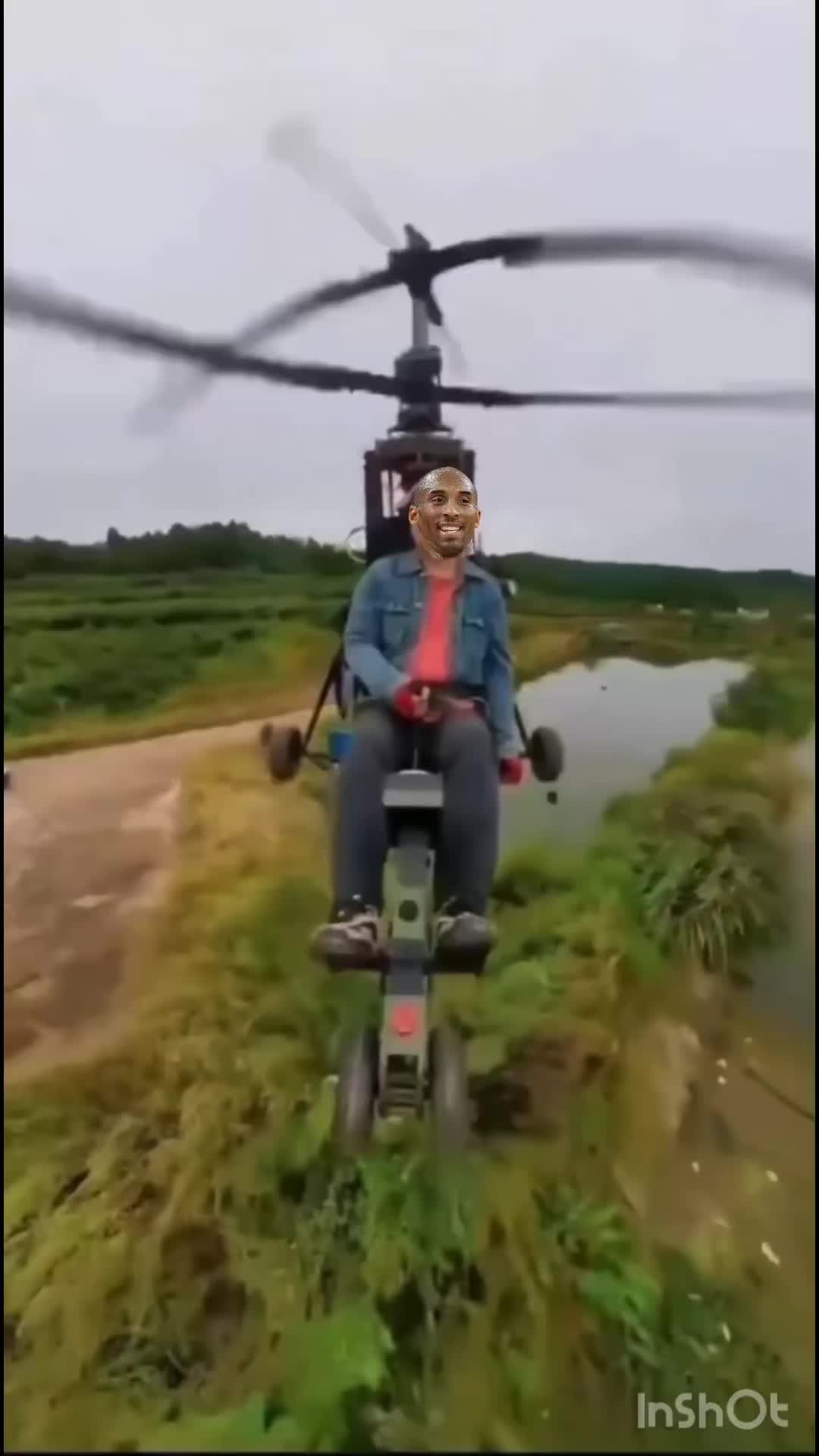 @DinoNinja