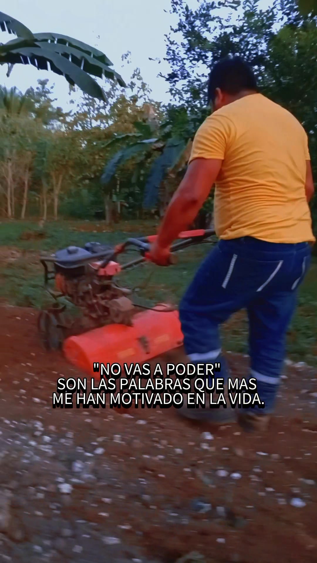 @mateo..xol..