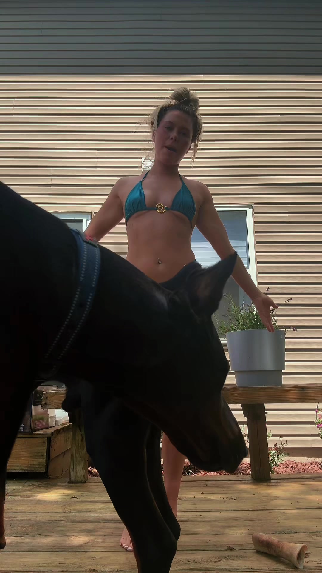 @gabbyvargo