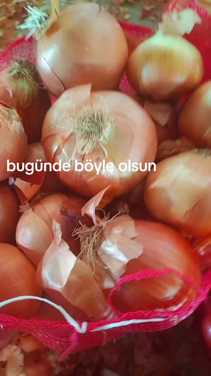 @MELOCAN