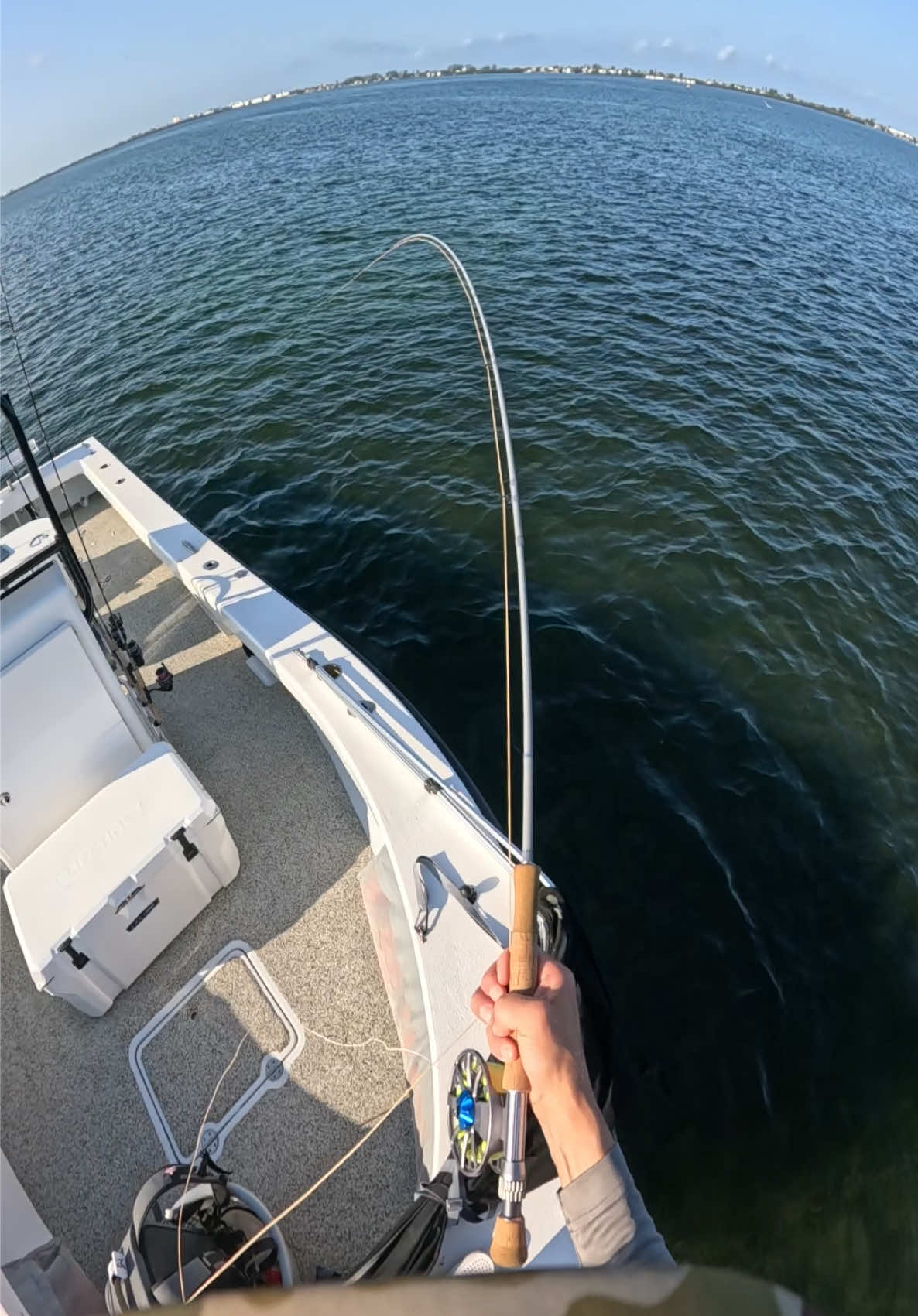@FlyFishDelawhere