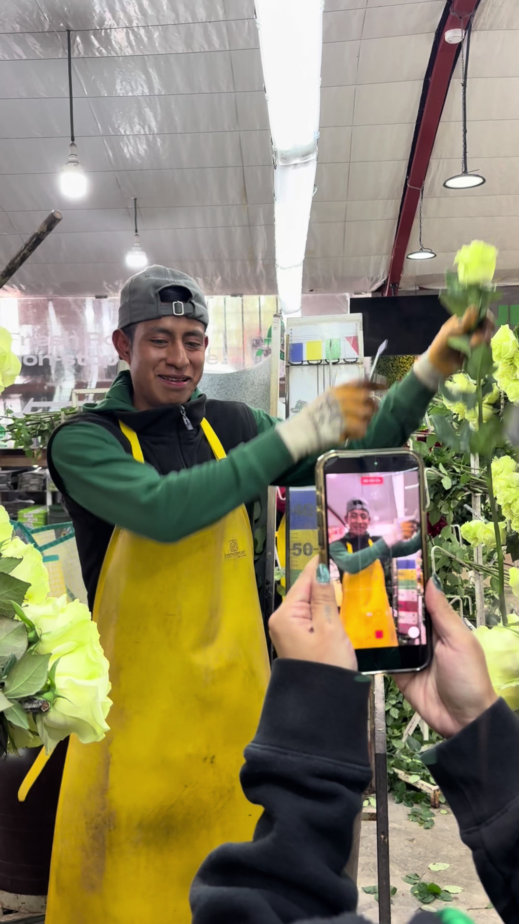 @Jet Fresh Growers