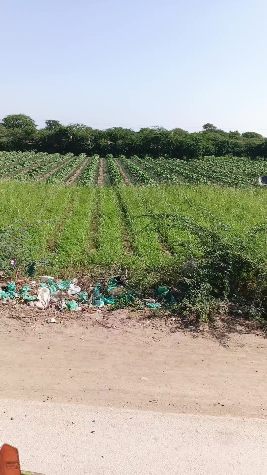@Mukesh kumar kolhi