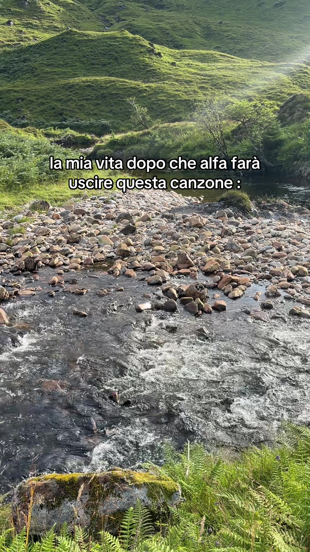 @alfa fan