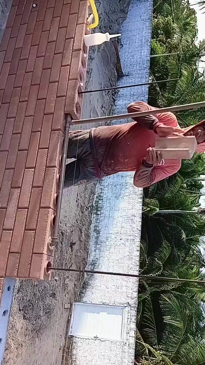 @altemarlima3