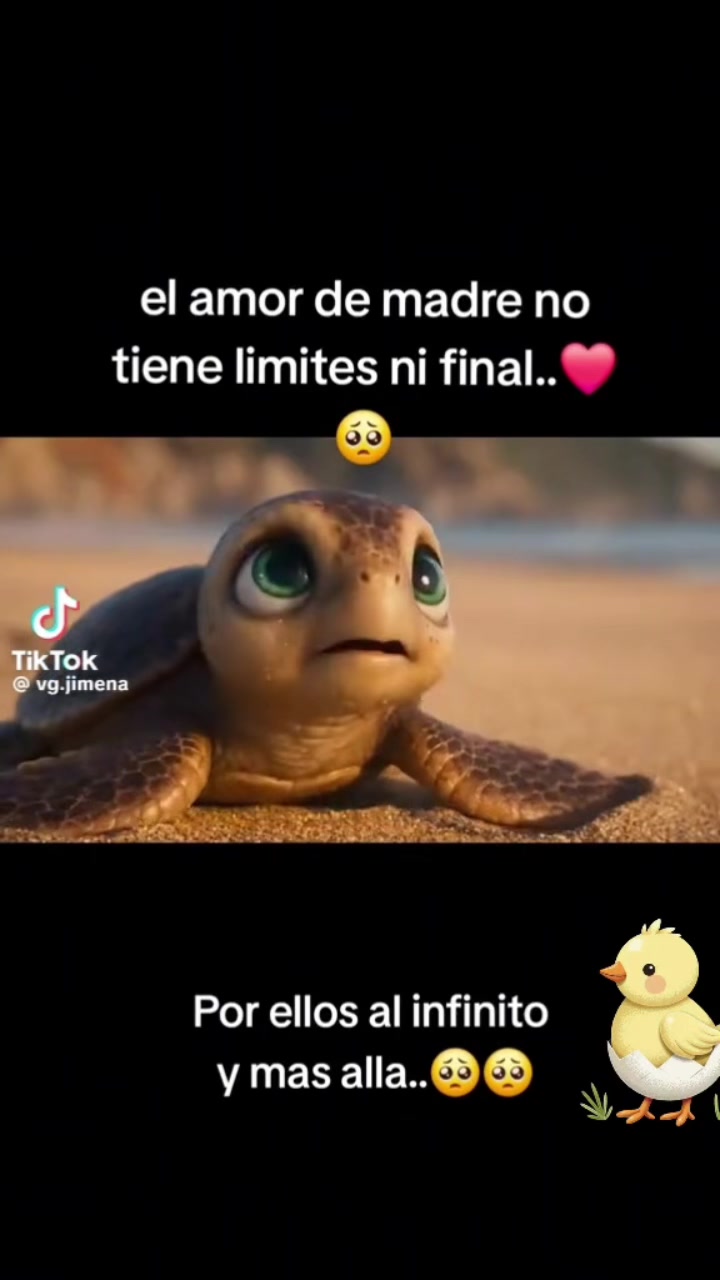@Veronica Reyes
